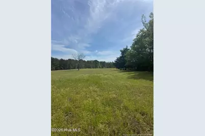 490 Springhill Church Road, Hamlet, NC 28345 - Photo 26