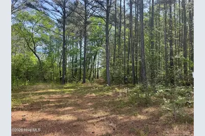 490 Springhill Church Road, Hamlet, NC 28345 - Photo 32