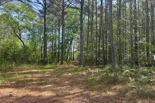 490 Springhill Church Rd, Hamlet, NC 28345 - Photo 32