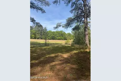 490 Springhill Church Road, Hamlet, NC 28345 - Photo 34