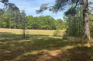 490 Springhill Church Rd, Hamlet, NC 28345 - Photo 34