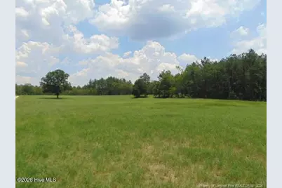 490 Springhill Church Road, Hamlet, NC 28345 - Photo 20