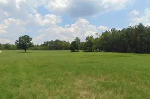 490 Springhill Church Rd, Hamlet, NC 28345 - Photo 20