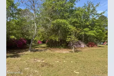 490 Springhill Church Road, Hamlet, NC 28345 - Photo 40