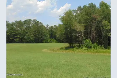 490 Springhill Church Road, Hamlet, NC 28345 - Photo 22