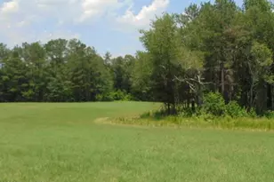490 Springhill Church Rd, Hamlet, NC 28345 - Photo 22