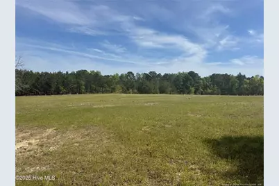 490 Springhill Church Road, Hamlet, NC 28345 - Photo 38