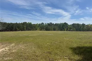 490 Springhill Church Rd, Hamlet, NC 28345 - Photo 38