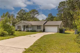 141 Fox Run Ln, Autryville, NC 28318 - Photo 4