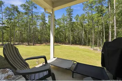 29801 Peach Orchard Road, Wagram, NC 28396 - Photo 40