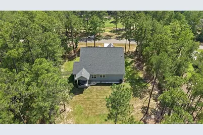 29801 Peach Orchard Road, Wagram, NC 28396 - Photo 46