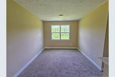 5524 Tolarsville Road, Saint Pauls, NC 28384 - Photo 4