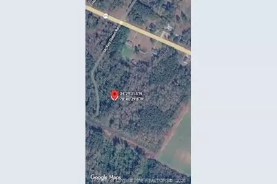 McKoy/Staten Road, Clarkton, NC 28433 - Photo 1