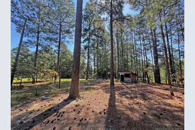 265 Dewey Drive, Vass, NC 28315 - Photo 42