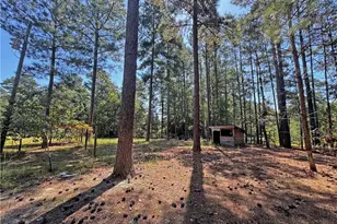 265 Dewey Dr, Vass, NC 28315 - Photo 42