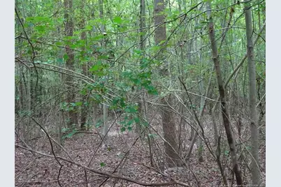 000 Giles Road, Linden, NC 28356 - Photo 4