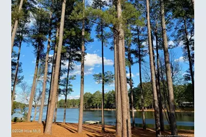 172 Pine Ridge Drive, Whispering Pines, NC 28327 - Photo 4