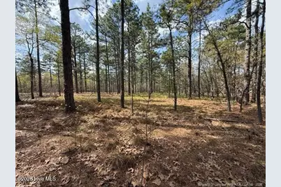 27 Birkdale Way, Pinehurst, NC 28374 - Photo 12