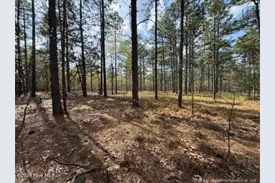 27 Birkdale Way, Pinehurst, NC 28374 - Photo 10