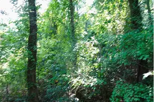 000 Gilbert Rd, Eastover, NC 28312 - Photo 1