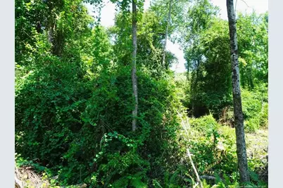 000 Ridgefield Road, Eastover, NC 28312 - Photo 2
