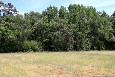 Tbd N Duffie Road, Red Springs, NC 28377 - Photo 6
