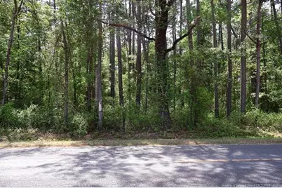 Tbd N Duffie Road, Red Springs, NC 28377 - Photo 10