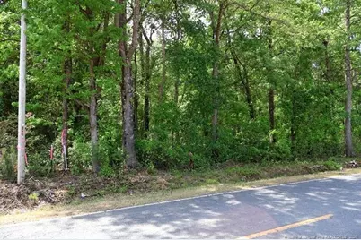 Tbd N Duffie Road, Red Springs, NC 28377 - Photo 4