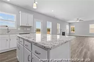 297 Marlborough (Lot 450) St, Raeford, NC 28376 - Photo 8