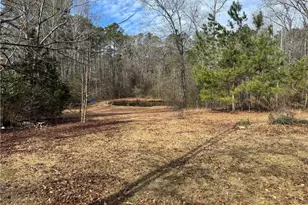 2017 Hwy 401 Business, Raeford, NC 28376 - Photo 4
