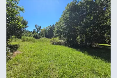 9685 Giles Road, Linden, NC 28356 - Photo 4