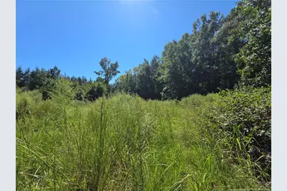 9685 Giles Road, Linden, NC 28356 - Photo 10