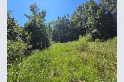 9685 Giles Road, Linden, NC 28356 - Photo 12