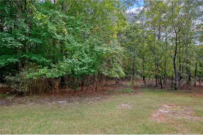 5 Clearwater Harbor, Sanford, NC 27332 - Photo 50