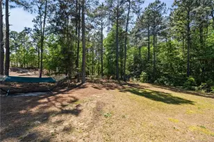 27 Pine Lake Dr, Whispering Pines, NC 28327 - Photo 38