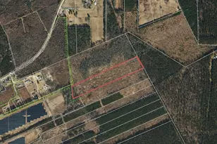 0 Bunnlevel Erwin Rd, Bunnlevel, NC 28323 - Photo 1