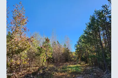Tbd Snow Camp Road, Snow Camp, NC 27349 - Photo 1