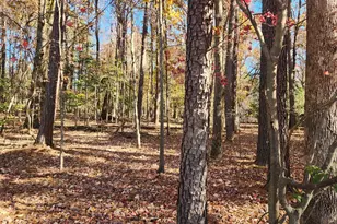 3901 Langston Cir, Apex, NC 27539 - Photo 1