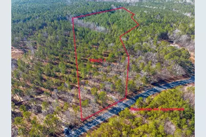 Tract 1 Robedo Road, Mount Gilead, NC 27306 - Photo 1