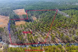 Tract 2 Robedo Rd, Mount Gilead, NC 27306 - Photo 1