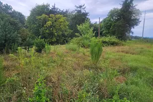 4944 Davis Rd, Winston-Salem, NC 27105 - Photo 1