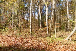 Lot 21 Lewis Ln, Henderson, NC 27537 - Photo 1