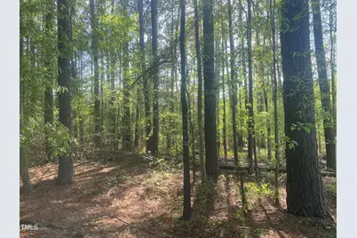 220 Curlew Drive, Chapel Hill, NC 27517 - Photo 1