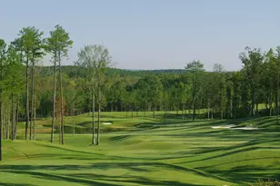 210 Bur Oak Ct, Pittsboro, NC 27312 - Photo 1