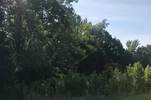 Lot 2 N 210 Hwy, Lillington, NC 27546 - Photo 1