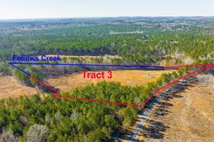 Tract 3 Robedo Rd, Mount Gilead, NC 27306 - Photo 1