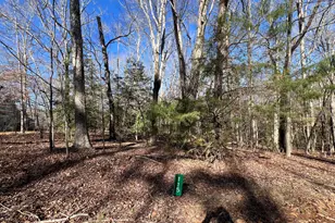 115 Apache Dr, Louisburg, NC 27549 - Photo 1