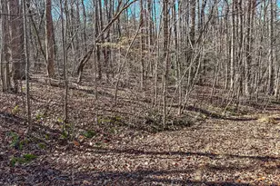 Lot 42 Oak Knob Ct, Timberlake, NC 27583 - Photo 1