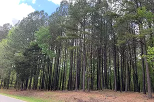 1388 Henry Oldham Rd, Bear Creek, NC 27207 - Photo 1