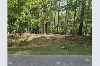 117 Tishomingo Drive, Louisburg, NC 27549 - Photo 1